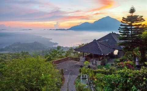 Bali Round Trip (Tuesday and Saturday)