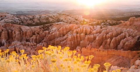 East West Adventure - Hotel in Downtown Los Angeles + Pre Package