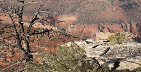 Golden West Adventure - Ending in Las Vegas