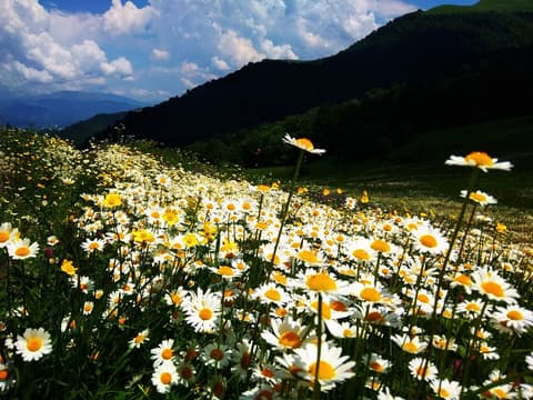 L’Armenia tra natura e religione