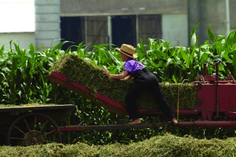 Great Eastern Cities - New York to Philadelphia