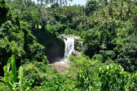 5 Giorni - Highlights of Bali