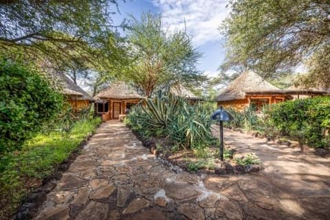 Safari Kongoni Classic