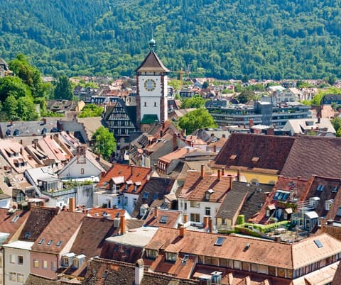 Alemania - Selva Negra y Suiza – foto 4