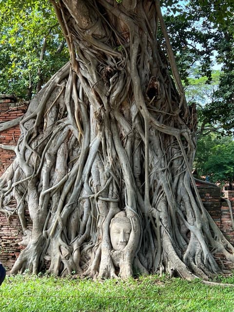 6 Days Around Thailand