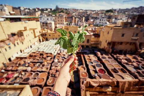 Città Imperiali da Casablanca a Marrakech