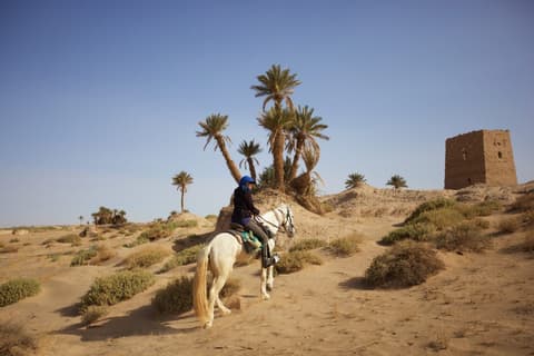 Morocco: La cavalcata del deserto