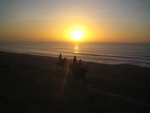 Marocco: La sabbia dorata di Agadir