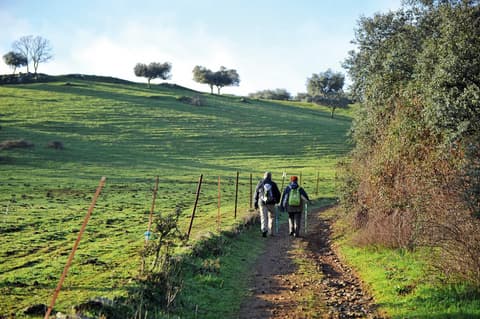 Il Cammino di Santiago