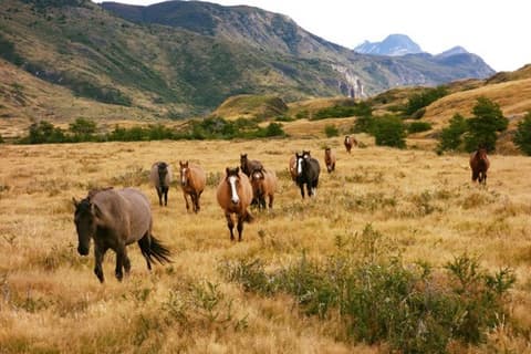 Argentina: Patagonia - the glaciers of Patagonia