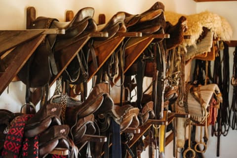 Argentina: Buenos Aires - La Pampa Argentina