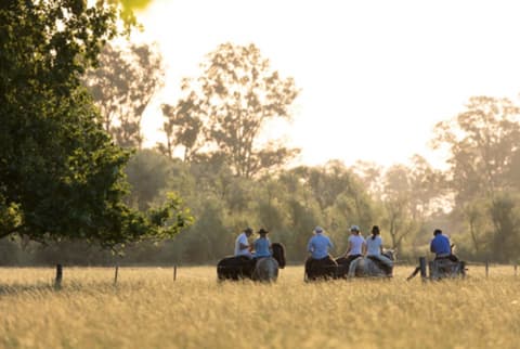 Argentina: Buenos Aires - La Pampa Argentina