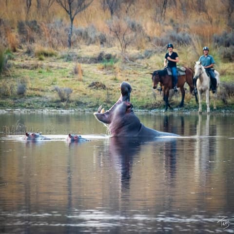 South Africa: Horseback safari in the Waterberg