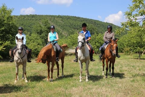 Italy: Umbria: Multicolored Umbria