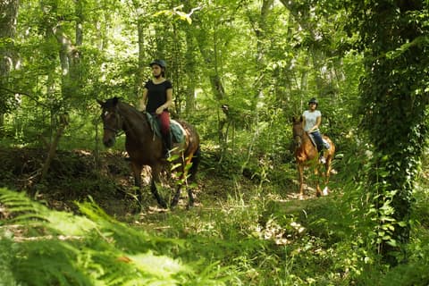 Italy: Umbria: Multicolored Umbria