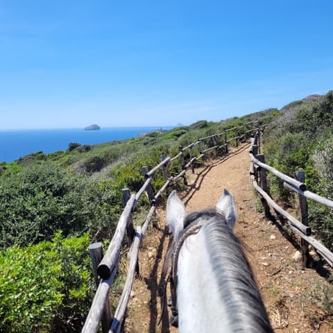 Italia: Sardegna - Il trekking delle due isole