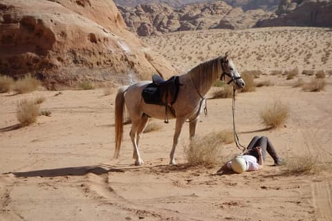 Special summer: Petra on horseback, red sea and dead sea