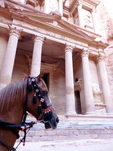 Special summer: Petra on horseback, red sea and dead sea