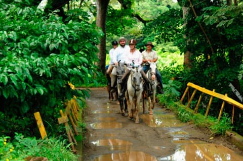 Costarica: Coast 2 coast - From the pacific to the caribbean sea