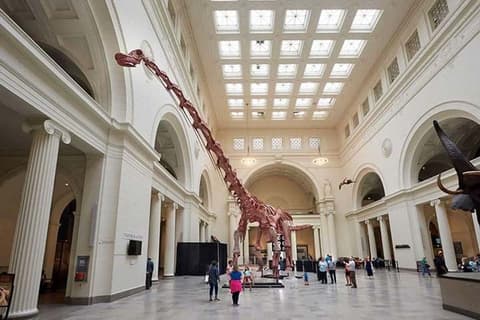 The Chicago Package - RIU Plaza Chicago Hotel - 5 Notti