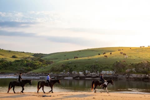Sud Africa: a cavallo in eastern cape - alla scoperta della wild coast