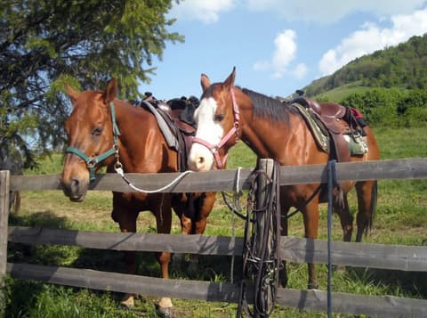 Italia: Trekking a cavallo in abruzzo: la terra dei sanniti