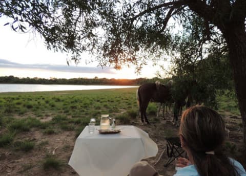 Brasil - Pantanal: the pantanal biosphere reserve