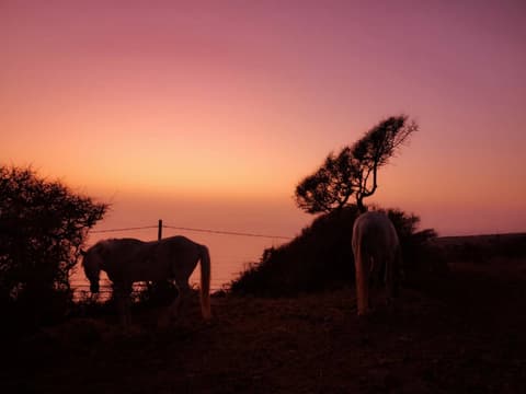 Marocco: Essaouira, una perla da scoprire