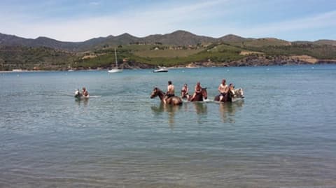 Spain: Catalonia - pyrenees & costa brava