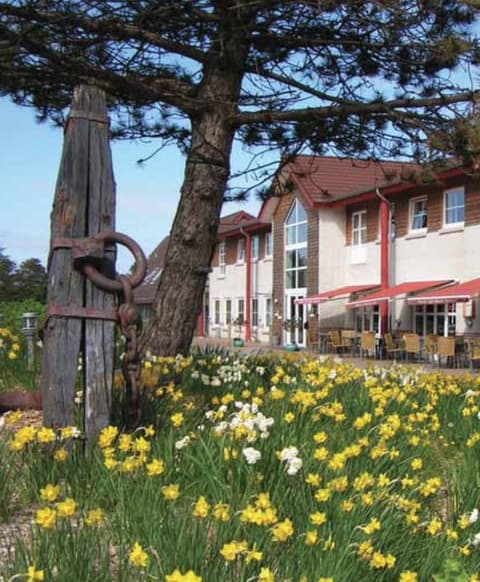 Danimarca: Al galoppo sul mare dei wadden