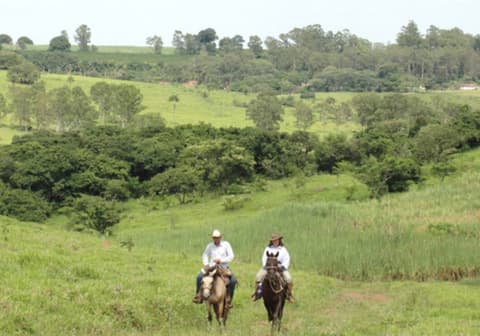 Brasil - Rio/Sao Paulo: Plantation Ride