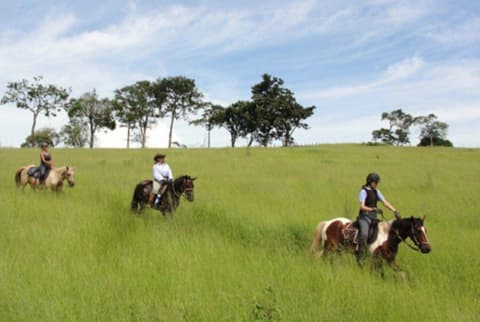Brasil - Rio/Sao Paulo: Plantation Ride