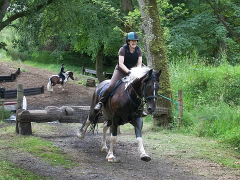 Irlanda: Monaghan - soggiorno equestre a Castle Leslie