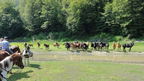 Italia: Escursioni a cavallo in abruzzo. il parco nazionale della majella
