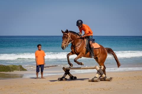 Indonesia: Lo spirito guerriero del popolo che venera i cavalli