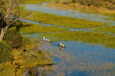 Botswana: Safari nel delta dell'Okavango