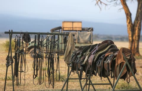 Tanzania: Horseback safari in Arusha National Park