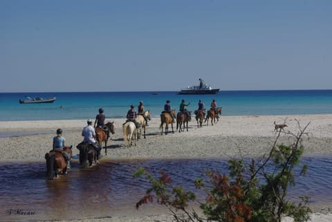 France: Corsica - between sea & mountain