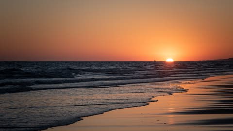 Spagna: Andalusia - il parco nazionale di Donana ed il Rocio