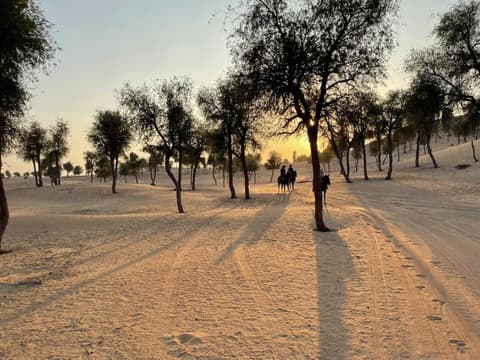 A cavallo a dubai: il primo tra gli emirati
