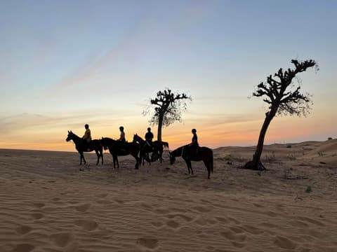 A cavallo a dubai: il primo tra gli emirati
