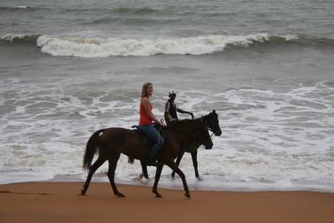 Sri Lanka: The island of tea