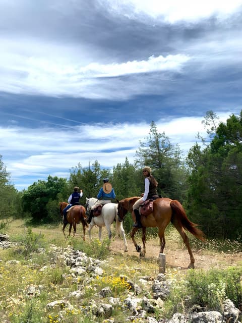 Spain: the guadarrama mountain national park