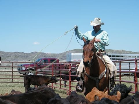 United States: Montana - on the trail of nicholas evans