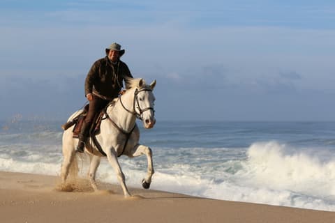 Portogallo: Alentejo - la costa dei delfini