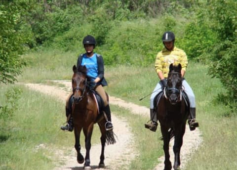 Croazia: Alla scoperta della dalmazia