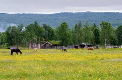 Norvegia: Trekking sulle montagne norvegesi