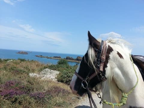 France: Normandy - from Cancale to mont Saint Michel