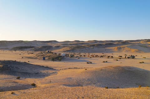 Namibia: Il grande deserto della namibia