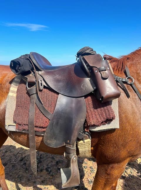 Namibia: Il grande deserto della namibia